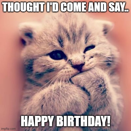 Cute Kitten Happy Birthday Meme